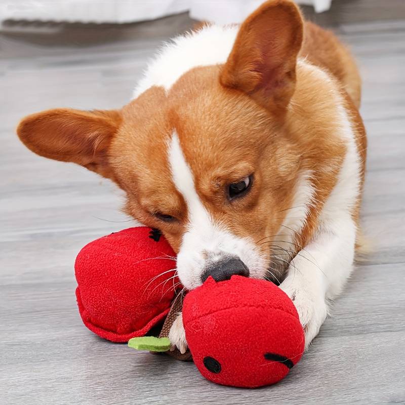 CherryPals | Das ultimative Spielzeug für deinen Hund!