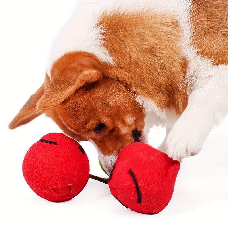 CherryPals | Das ultimative Spielzeug für deinen Hund!