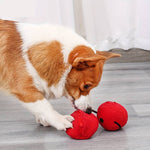CherryPals | Das ultimative Spielzeug für deinen Hund!