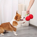 CherryPals | Das ultimative Spielzeug für deinen Hund!
