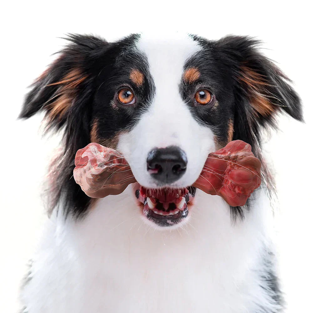 ChewBone | Zahnbürste für Hunde in Fleischform