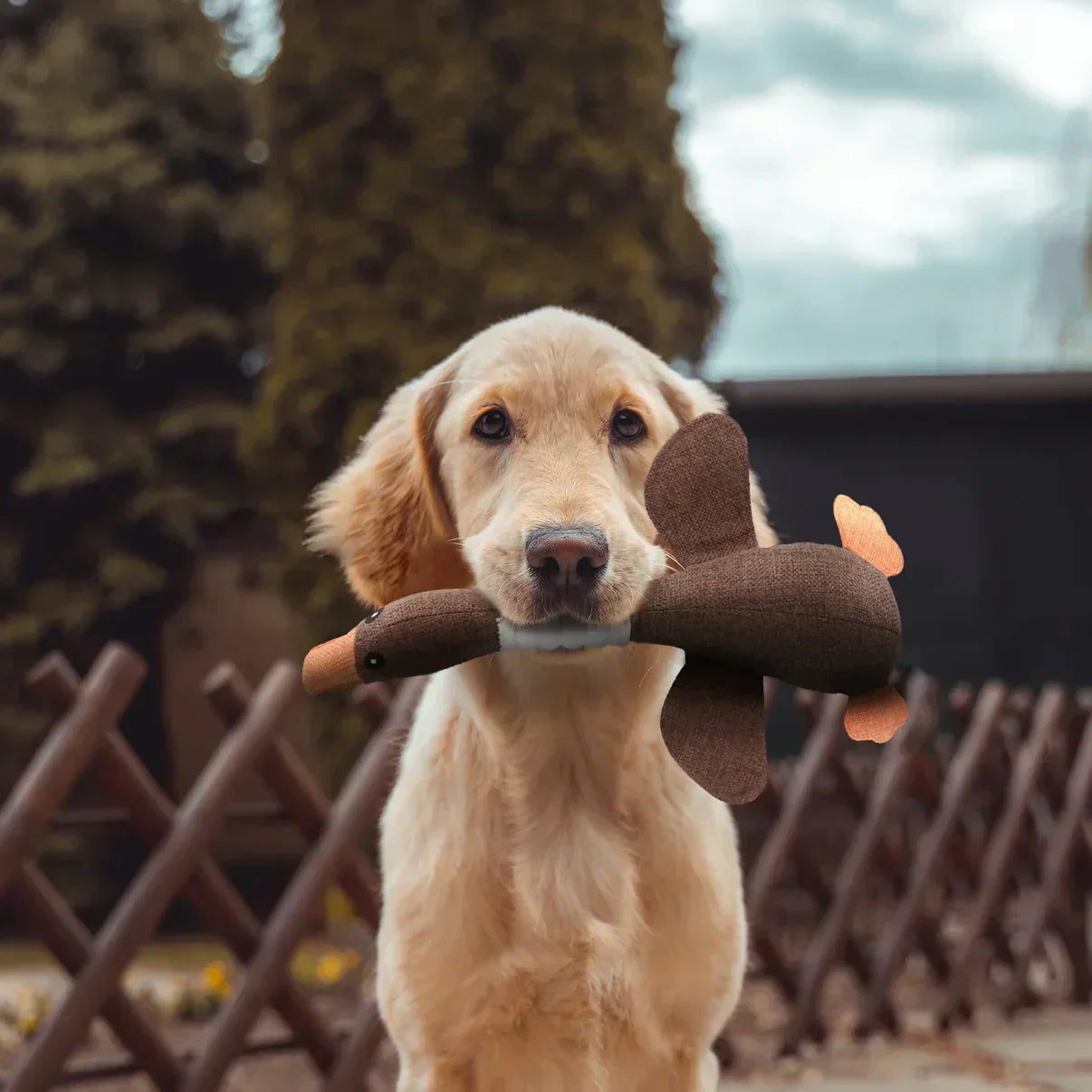 ChewDuck | Das ultimative Kauspielzeug für deinen Hund