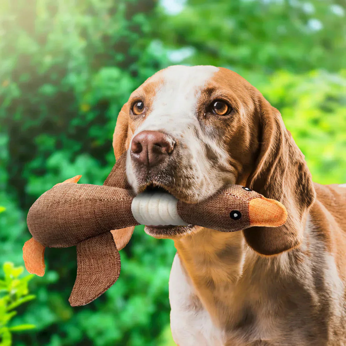 ChewDuck | Das ultimative Kauspielzeug für deinen Hund