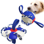 ChewTech | Multifunktionelle Hundeball-Sensation