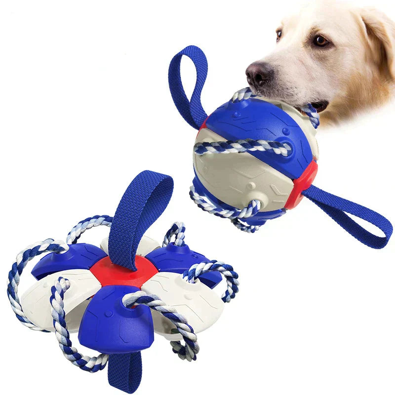 ChewTech | Multifunktionelle Hundeball-Sensation
