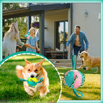ChewTech | Multifunktionelle Hundeball-Sensation