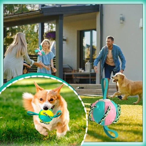 ChewTech | Multifunktionelle Hundeball-Sensation