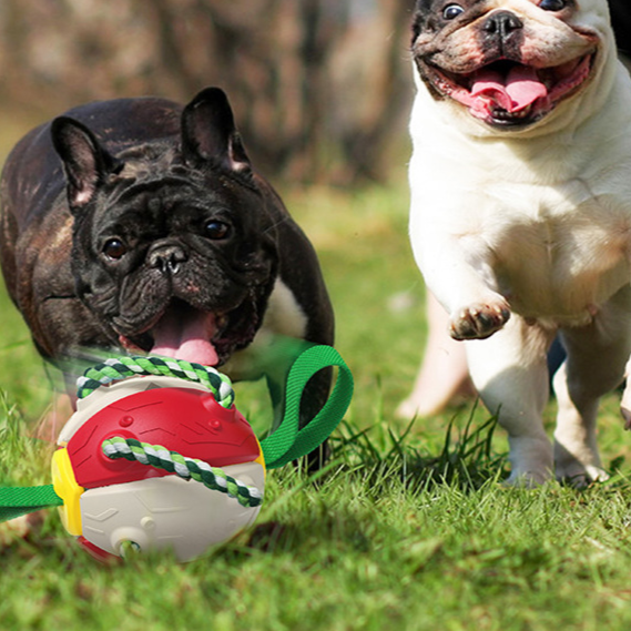 ChewTech | Multifunktionelle Hundeball-Sensation