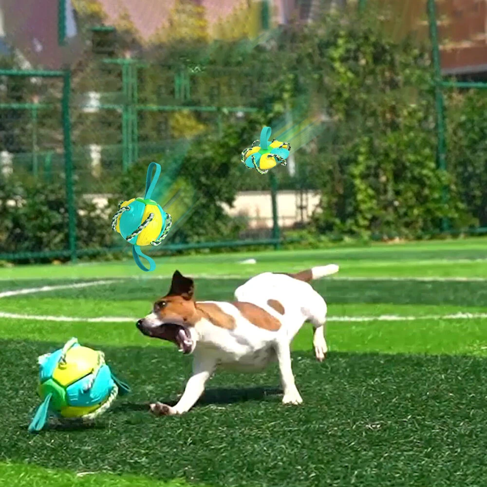 ChewTech | Multifunktionelle Hundeball-Sensation