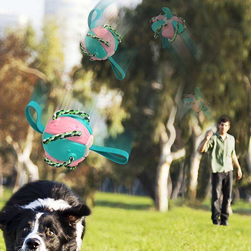 ChewTech | Multifunktionelle Hundeball-Sensation