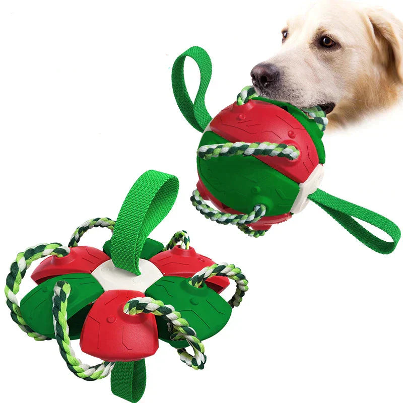 ChewTech | Multifunktionelle Hundeball-Sensation