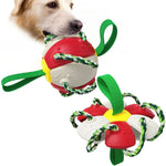 ChewTech | Multifunktionelle Hundeball-Sensation