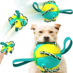 ChewTech | Multifunktionelle Hundeball-Sensation