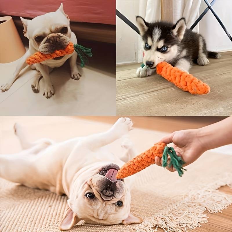 ChewyCorn | Das ultimative Kauerlebnis für Ihren Hund