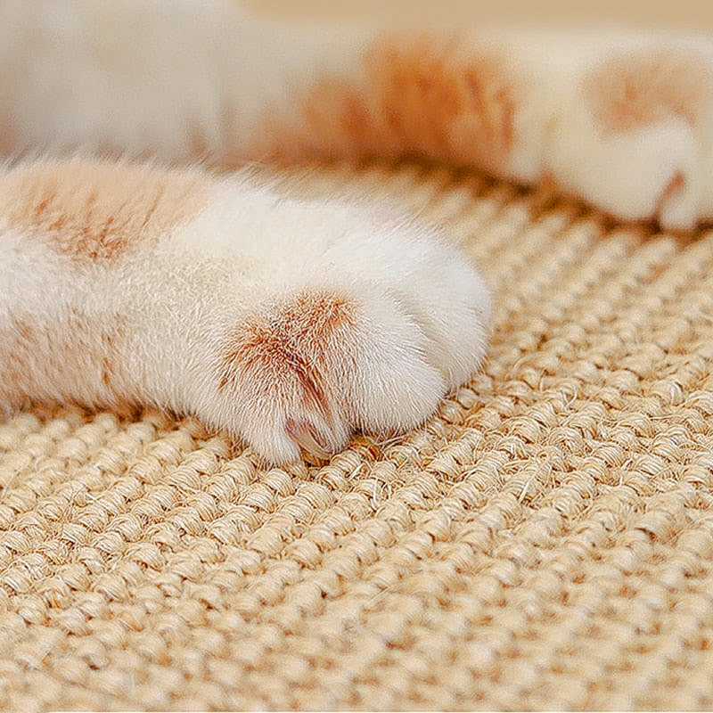 ClawCraft | Stressabbau und Schutz für Ihre Möbel