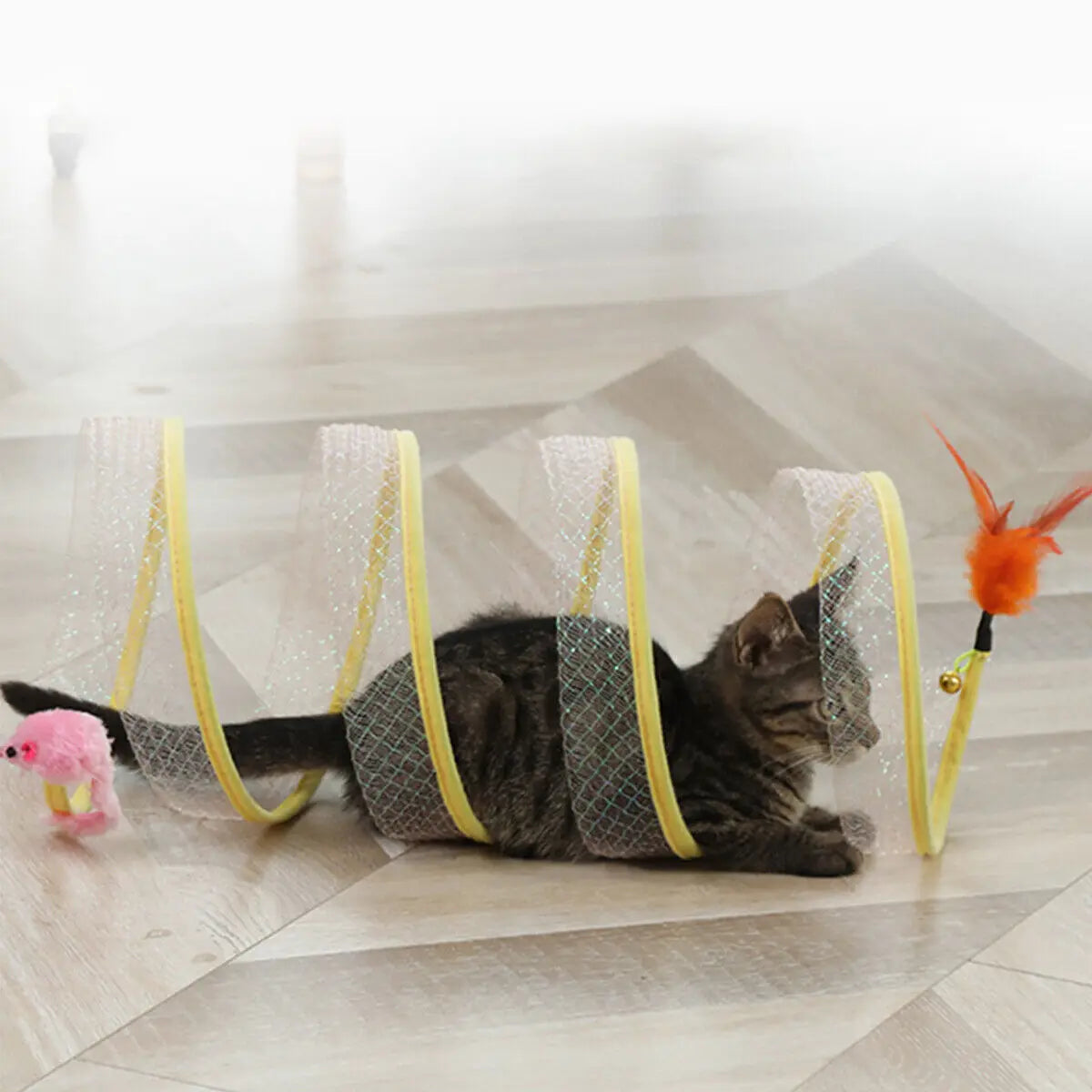 ClawCurl | Unendlicher Spielspaß für Ihre Katze