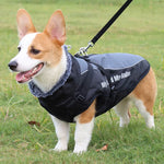 CloudTail | Isolierter Hundemantel mit Reflektoren
