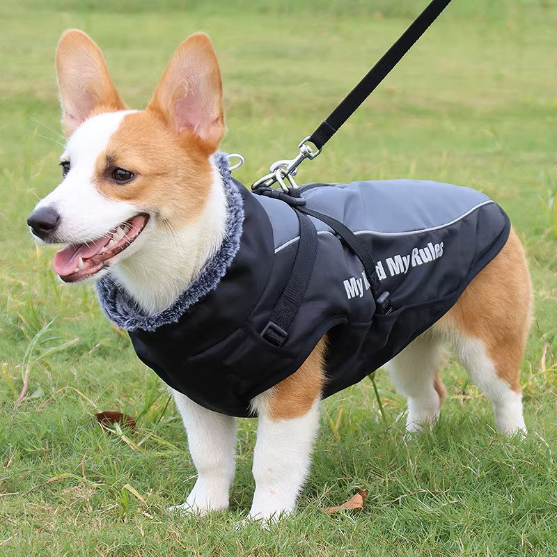 CloudTail | Isolierter Hundemantel mit Reflektoren