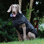 CloudTail | Isolierter Hundemantel mit Reflektoren