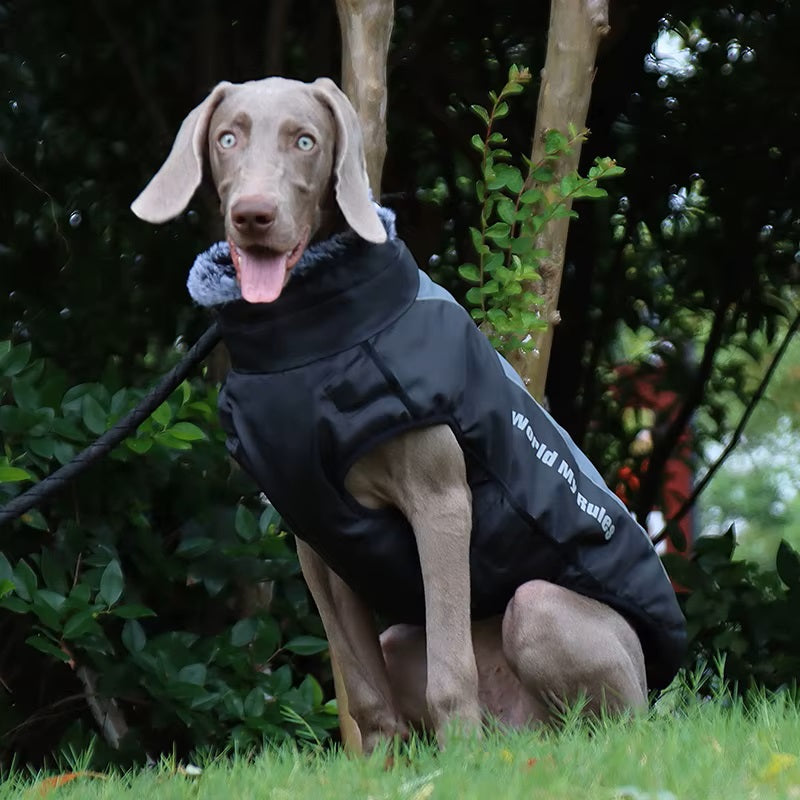 CloudTail | Isolierter Hundemantel mit Reflektoren