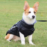 CloudTail | Isolierter Hundemantel mit Reflektoren