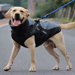 CloudTail | Isolierter Hundemantel mit Reflektoren