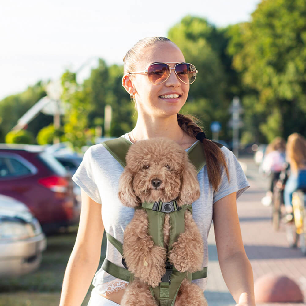 Hundetragetasche für kleine Hunde – Bequeme Transporttasche für das Cockpit