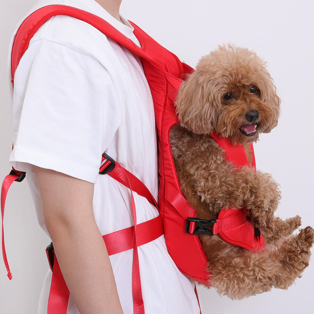 Hundetragetasche für kleine Hunde – Bequeme Transporttasche für das Cockpit
