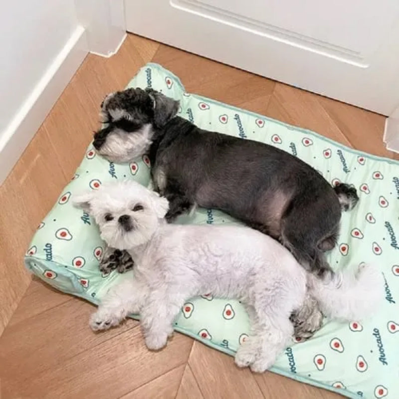 Kühlende Haustiermatte aus Eis-Seide für Hunde und Katzen