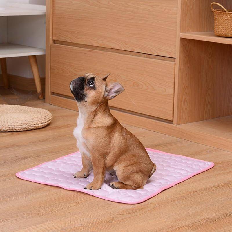 Cooling Mat for Pets | Optimal Comfort on Hot Days