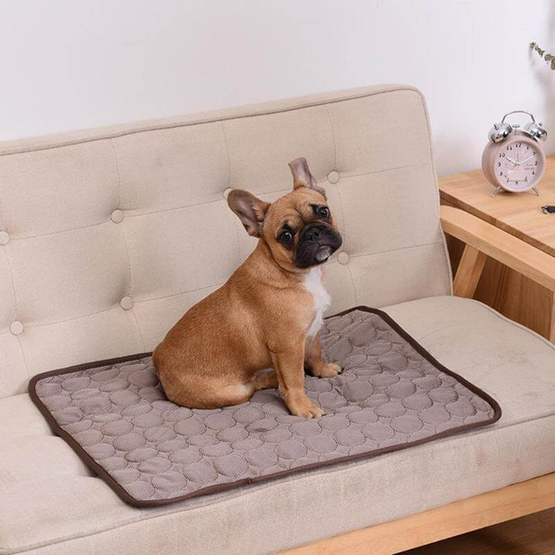 Cooling Mat for Pets | Optimal Comfort on Hot Days