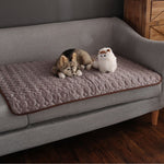 Cooling Mat for Pets | Optimal Comfort on Hot Days