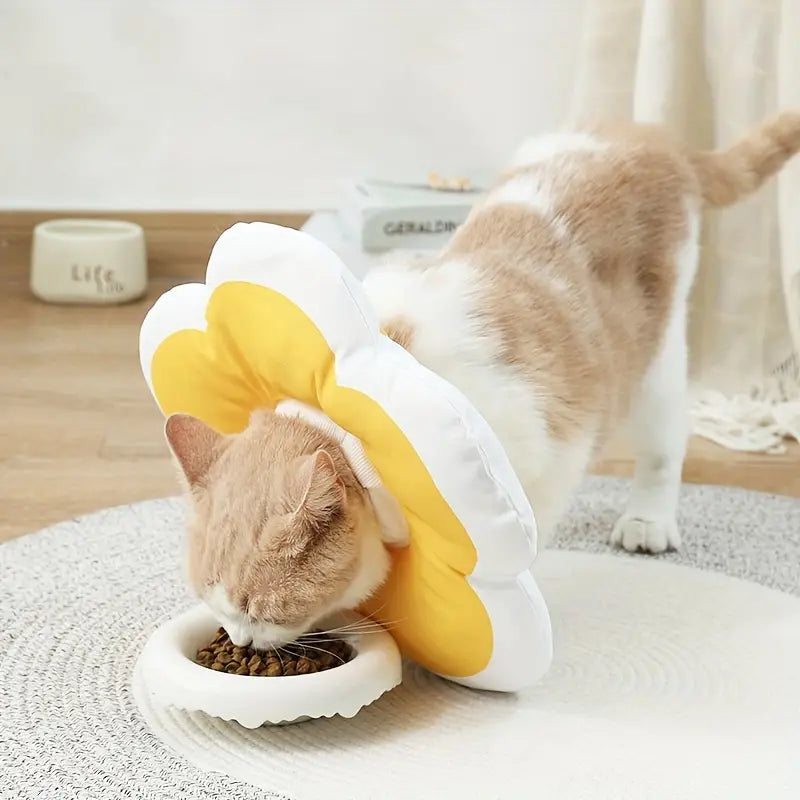CozyCone | Stilvolle und essentielle Genesungshilfe
