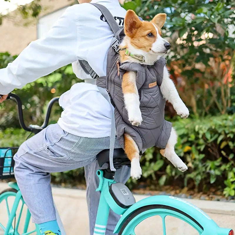 CozyGo | Unverzichtbare Wärme und Nähe für Ihr Haustier