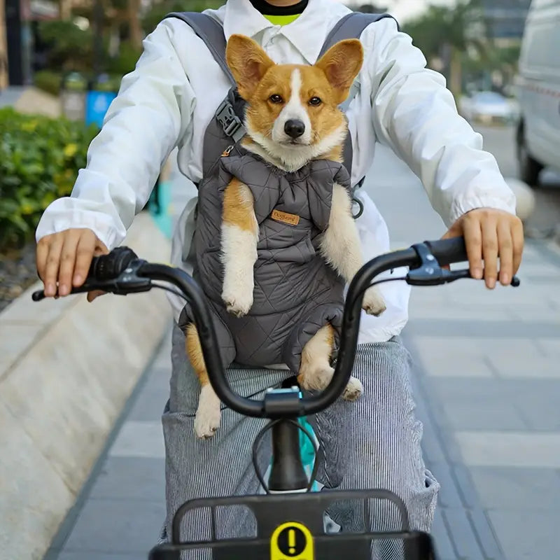 CozyGo | Unverzichtbare Wärme und Nähe für Ihr Haustier