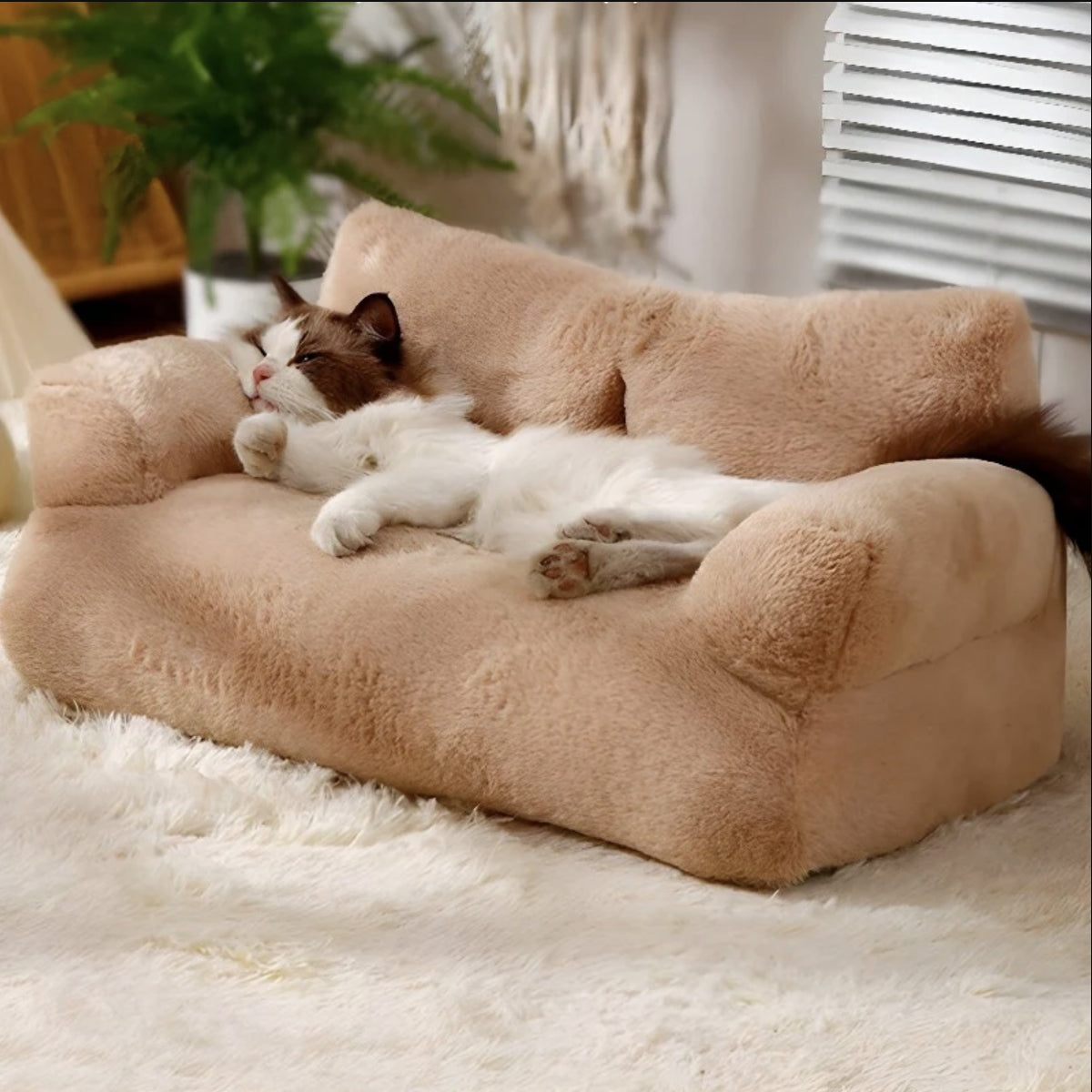 Gemütliches Haustierbett - Sofa für Hunde und Katzen