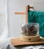 Kristallstein Aroma Diffusor für ätherische Öle