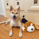 CuddleBuddy | Beruhigung für deinen Hund bei Angst und Einsamkeit
