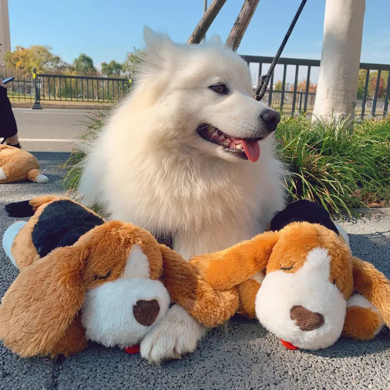 CuddleBuddy | Beruhigung für deinen Hund bei Angst und Einsamkeit