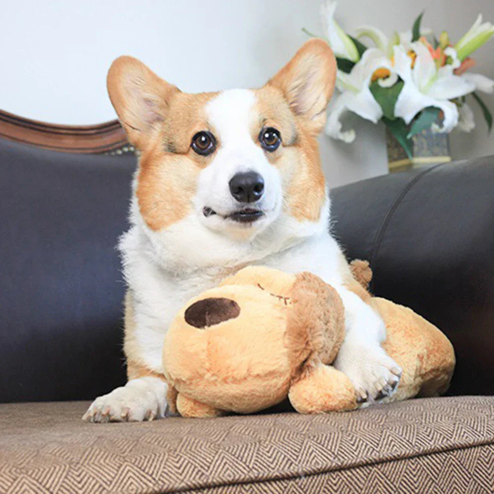 CuddleBuddy | Beruhigung für deinen Hund bei Angst und Einsamkeit