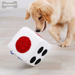 DiceMate | Interactive Dice Game for Your Dog