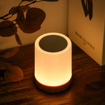 Dimmable Night Lamp with Elegant Design - LuxeTouch