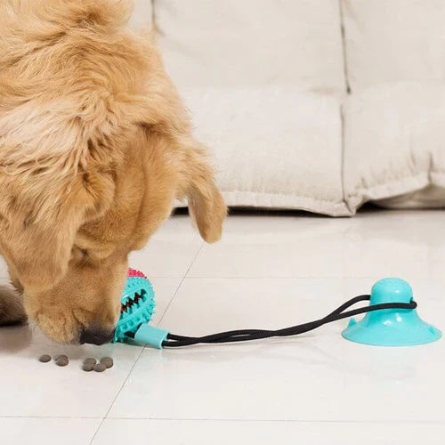 Interactive Dog Food Toy | Fun and Healthy Eating