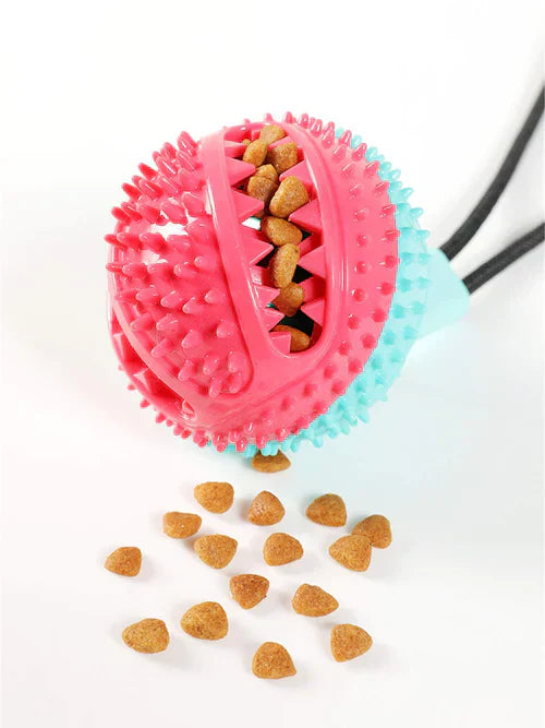 Interactive Dog Food Toy | Fun and Healthy Eating