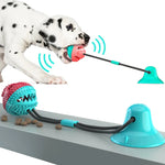 Interactive Dog Food Toy | Fun and Healthy Eating