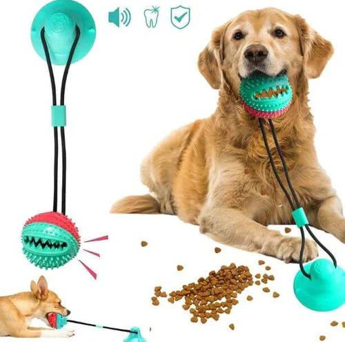 Interactive Dog Food Toy | Fun and Healthy Eating