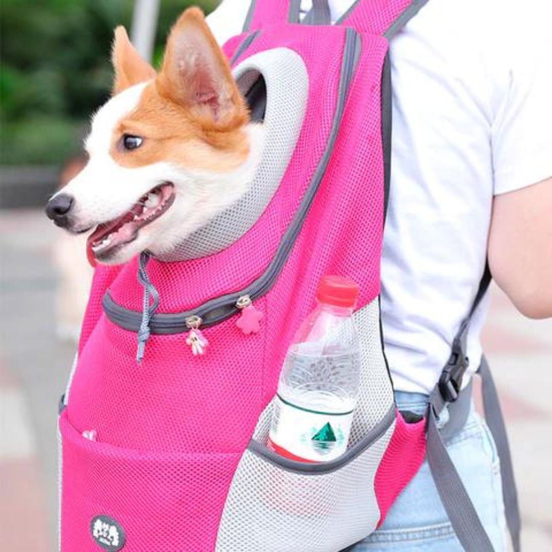 Dog-Friendly Backpack | Canicomfy