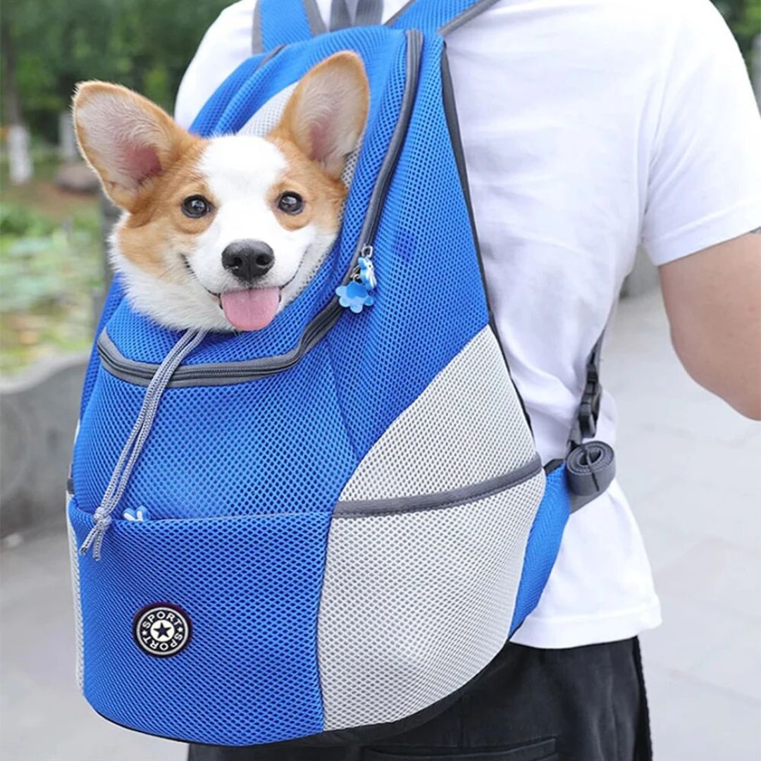 Dog-Friendly Backpack | Canicomfy