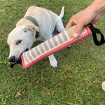 DogGrip | Ultimate Chew Cushions for Dogs