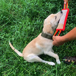DogGrip | Ultimate Chew Cushions for Dogs